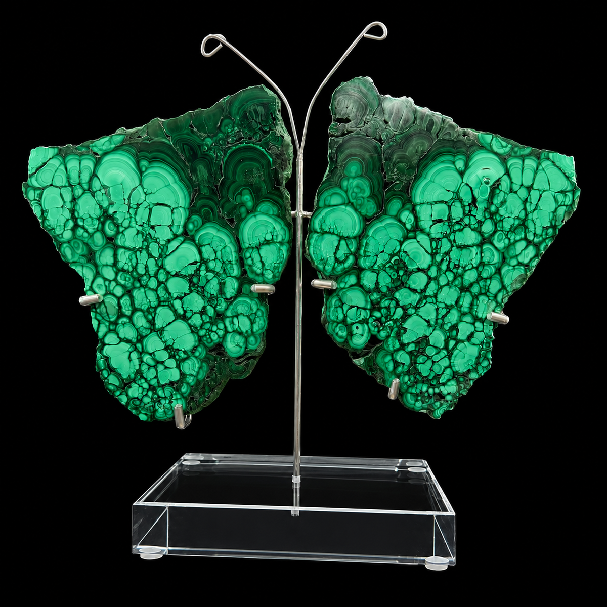 Malachite Butterfly Wings Pair Large On Stand